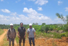 Terlalu Mepet ke Jalan TMMD, PT Air Muring Geser Tanaman Sawit 