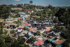 Harmoni Warna di Tepi Danau Toba