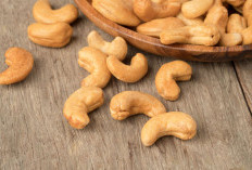 Kenali Manfaat Dari Mengkonsumsi Kacang Mete Yang Baik Untuk Kesehatan 