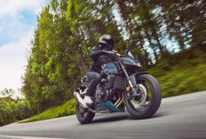 Mengaspal di AS, Honda CB750 Hornet 2026 Tanpa Kopling, Harganya Rp 134 Jutaan