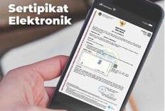 Pemerintah Resmi Luncurkan Setifikat Tanah Elektronik, Begini Cara Dapatkannya