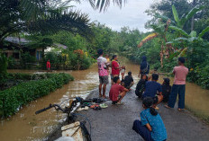 Serukan Mitigasi Kebencanaan Daerah