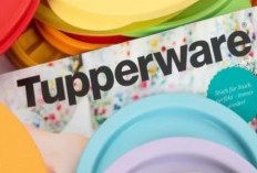 Tupperware Resmi Bangkrut? Akhir Era Perusahaan Ikonik 