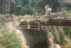 Kades Desak Realisasikan Pembangunan Jembatan Pelopat Macan. Ini Alasannya...