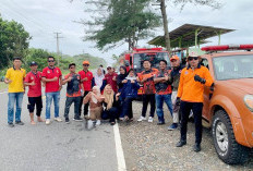 TRC Disiagakan Hingga Desember 2025, Warga Diminta Waspada Cuaca Ekstrem