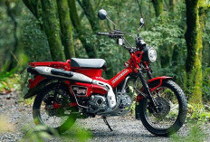 Kredit Honda CT125 = Investasi? Simulasi Angsuran DP 15 Juta, Ekslufif Peluang Buruan Kolektor