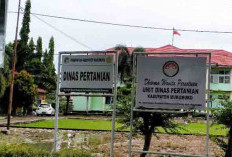 Bantuan Alat Mesin Pertanian Nihil