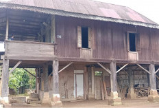  Rumah Panggung, Warisan Nenek Moyang yang  Kini Terancam Hilang     
