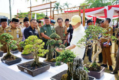 Butuh Komitmen Dalam Melestarikan Seni Bonsai