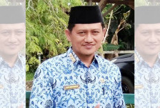 Stok Obat Pembasmi Hama Padi Aman, Dinas Pertanian Pastikan Kebutuhan Petani Terpenuhi