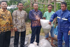 Dinas Perikanan BU Bagikan 300 Karung Pakan dan 200.000 Benih Ikan Nila