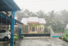 Warga Diminta Waspada, Hujan Deras Disertai Angin Kencang Terjang Wilayah Mukomuko