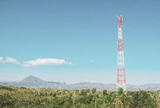 Pemdes Gunung Payung Desak Diskominfo dan Provider, Ubah Frekuensi Sinyal Telkomsel. Ini Alasannya...