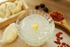 Ini Dia Manfaat Kesehatan Serta Cara Mengkonsumsi Sarang Burung Walet yang Wajib Kalian Ketahui