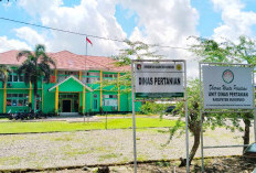 Dinas Pertanian Pastikan Penyaluran Pupuk Subsidi Sesuai Aturan