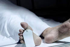 Menilik Arti Mimpi Mengantarkan Mayat Kepemakaman 