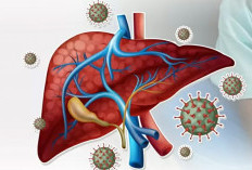 Kenali Penyakit Hati Serta Faktor Penyebabnya
