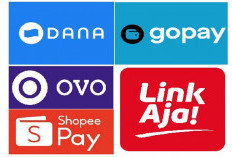 Benarkah E-Money Seperti Dana, OVO, GoPay, ShopeePay, dan LinkAja Fasilitasi Judi Online?