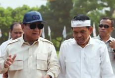 Mimpi Politisi Gerindra Dedi Mulyadi Sektor Pertanian, Yakin Prabowo Bawa RI Berdaulat Pangan