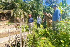 Kadis TPHP Bengkulu Utara Tindaklanjuti Irigasi Jebol di Desa Talang Arah, Begini Penanganannya
