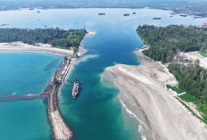 Bentuk Dukungan, INSA Bengkulu Aktif Pantau Normalisasi Alur Pulau Baai 