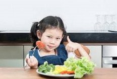 Anak Jenius Seperti B.J Habibie, Ini 6 Jenis Makanan untuk Mendukung Kecerdasan Otaknya...
