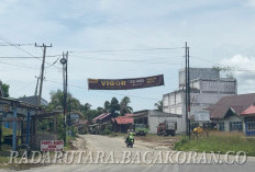 Kades Minta Pembangunan Jalan Bukit Indah–Napal Putih TA 2026 Sampai Dusun Raja