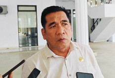 TA 2026, Pembayaran DBH Kabupaten/Kota Dianggarkan Rp 186 M