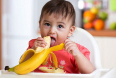 Ini Alasan,Kenapa Bayi 6 Bulan Tidak Dianjurkan Untuk Makan Pisang