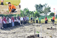 Kemenag Mukomuko Ikut Tanam Sejuta Pohon Matoa Serentak Seluruh Indonesia