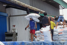 Bapang Segera Salur, Selain Beras 10 Kg, Prabowo Tambah Lagi Minyak Goreng