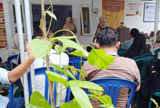 Diantara CSR Pertamina, Kisah Sukses Ibu-Ibu Dusun Babakan Membangun Bisnis Tempe Koro