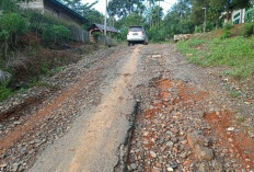 Soal Jalan di Desa Tanjung Alai, Camat: Butuh Kesadaran dan Kolaborasi Bersama