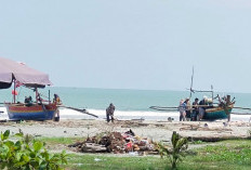 Saat Ini Ikan Menuju Perairan Dangkal, Tapi Laut Kurang Bersahabat 