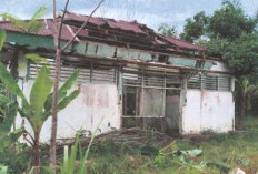 Program Strategis Terhambat, Permohonan Hibah Lahan Kopdes Ditolak Disbunhorti 