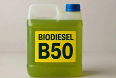 Menuju B50, Kementerian ESDM Gelar Uji Jalan di Enam Sektor