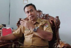 Perbaikan Data PPPK Paruh Waktu Dideadline Hingga Akhir 2025