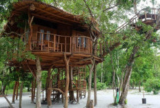 Menikmati Keindahan Pantai Chicas dan Rumah Pohon di Pulau Leebong