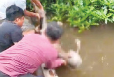 Dikabarkan Hilang, Kakek 70 Tahun Ditemukan Meninggal di Sungai
