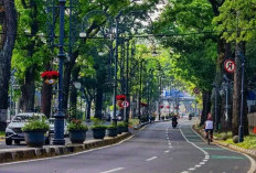 Seluk Beluk Jalan Dago yang Kini Bernama Jalan Ir. H. Juanda