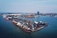 Pelindo Multi Terminal Catat Lonjakan Trafik Semester I 2025, Komoditas Gas Naik 24 Persen