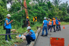 Pulihkan Layanan Listrik Paska Badai, PLN Kolaborasi Kerahkan Personel