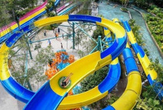 Perjalanan Hidup? Ini Makna dari Mimpi Seluncuran Air 