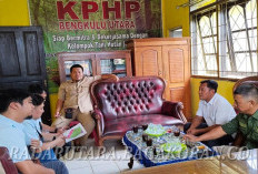Kantongi Kepastian dari KPHP, PLN Didesak Realisasikan Jaringan Listrik Tanjung Kemenyan