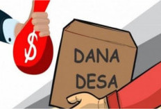 Fantastis...Dana Desa Lebong Tandai TA 2025 Mencapai Rp1,5 Miliar