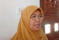 Dugaan Keterlibatan Oknum KPH, Dinas LHK Pastikan Tindaklanjuti