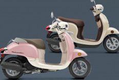 Dijuluki 'Adik Scoopy', Kenalkan Honda Crea Scoopy CHF50 Si Skutik Mungil Modern 