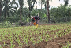 Desa Mekar Mulya Dukung Program P2B Wujudkan Makan Bergizi Gratis