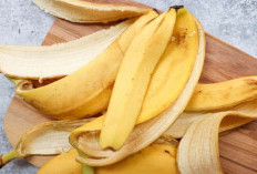 Jarang Diketahui, Ternyata Kulit Pisang Memiliki Manfaat untuk Wajah serta Kesehatan