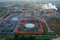 Pakar Apresiasi Kontribusi Pertamina Capai Target Lifting Minyak